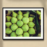 Ingenues - Emerald Green Lotus Bud Art Print, Fresh Green Coconuts Arranged Neat Rows