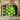Ingenues - Emerald Green Lotus Bud Art Print, Fresh Green Pears Arranged Neatly Wooden Crate