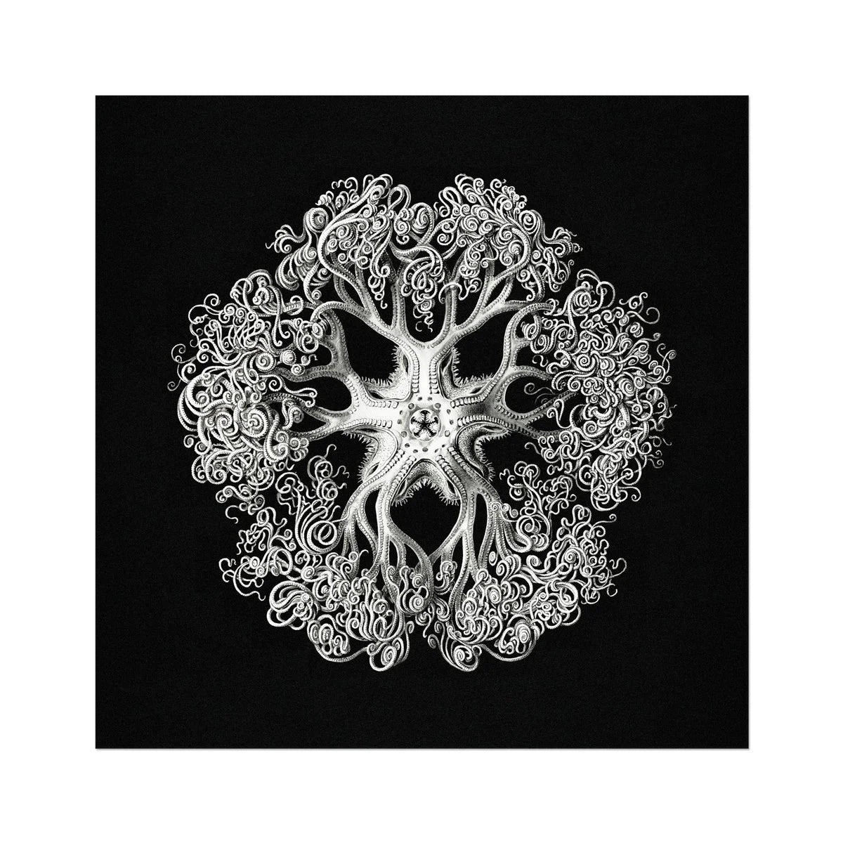 Jellyfish - Ernst Haeckel Ocean Life Art Print 30’’x30’’ Posters Prints & Visual Artwork