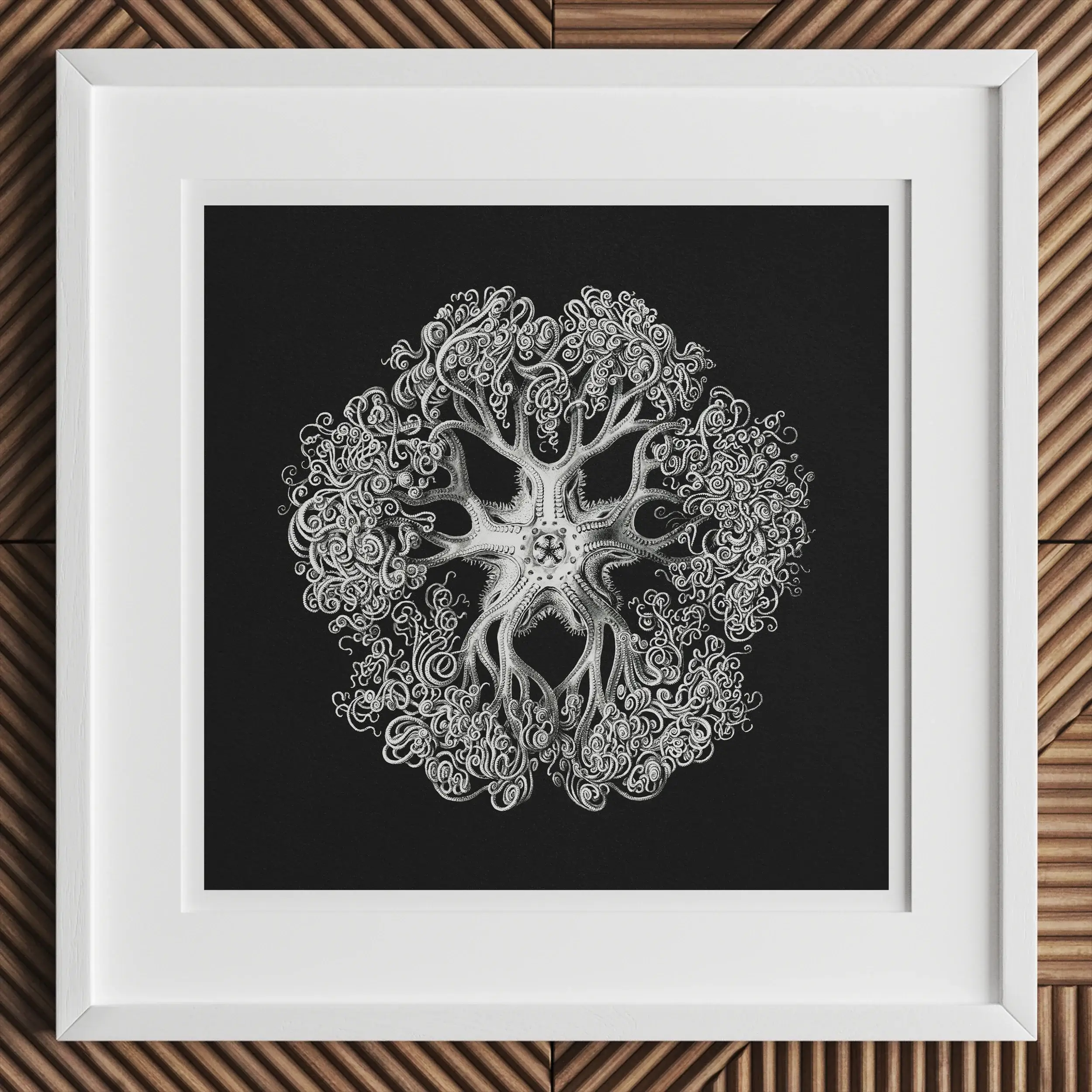 Jellyfish - Ernst Haeckel Ocean Life Illustration Art Print Posters Prints & Visual Artwork