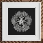 Jellyfish - Ernst Haeckel Ocean Life Art Print Posters Prints & Visual Artwork