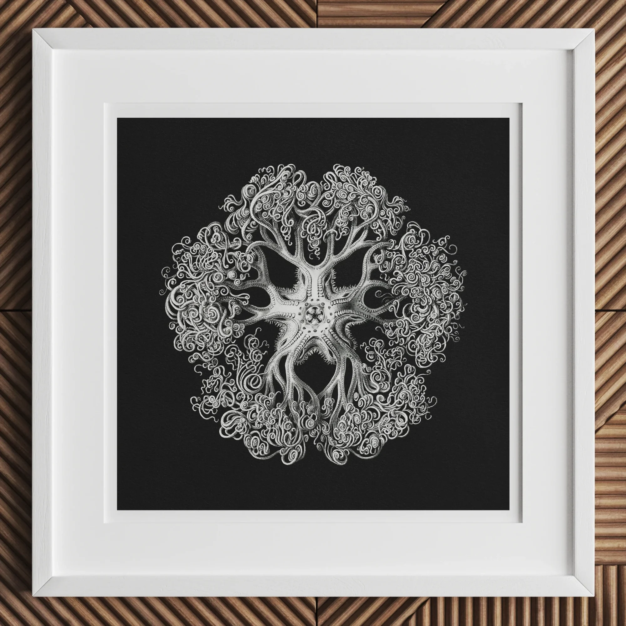 Jellyfish - Ernst Haeckel Ocean Life Art Print Posters Prints & Visual Artwork