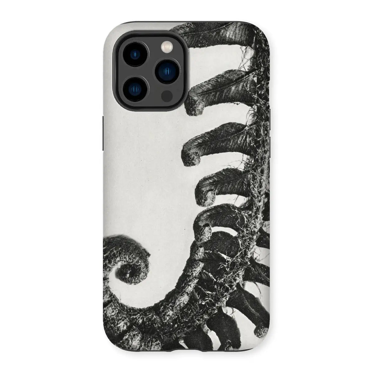 Polystichum Munitum (prickly Shield–fern) - Karl Blossfeldt Tough Iphone Case 14 Pro Max / Matte Mobile Phone Cases