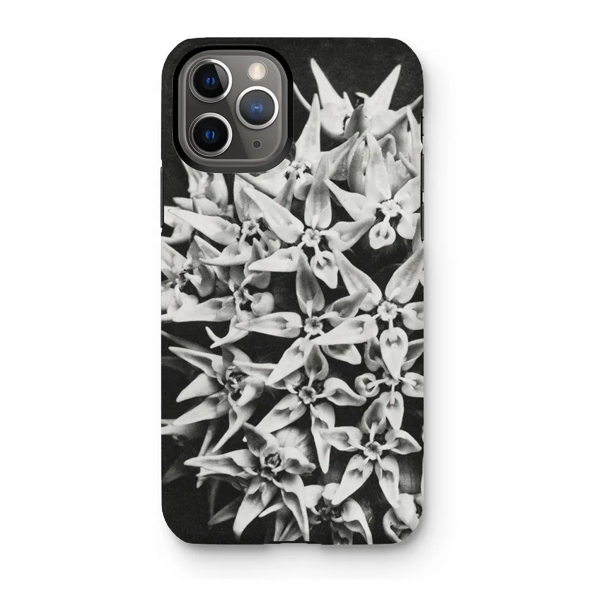 Asclepias Speciosa - Karl Blossfeldt Photo Art Iphone Case 11 Pro / Matte Mobile Phone Cases