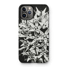 Asclepias Speciosa - Karl Blossfeldt Photo Art Iphone Case 11 Pro / Matte Mobile Phone Cases