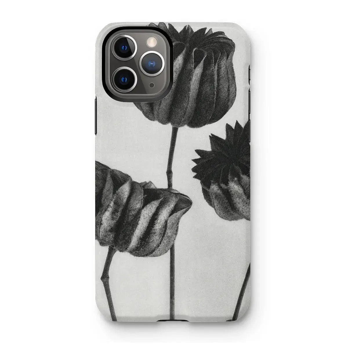 Abutilon (lime Mallow) Pod - Karl Blossfeldt Art Iphone Case Mobile Phone Cases