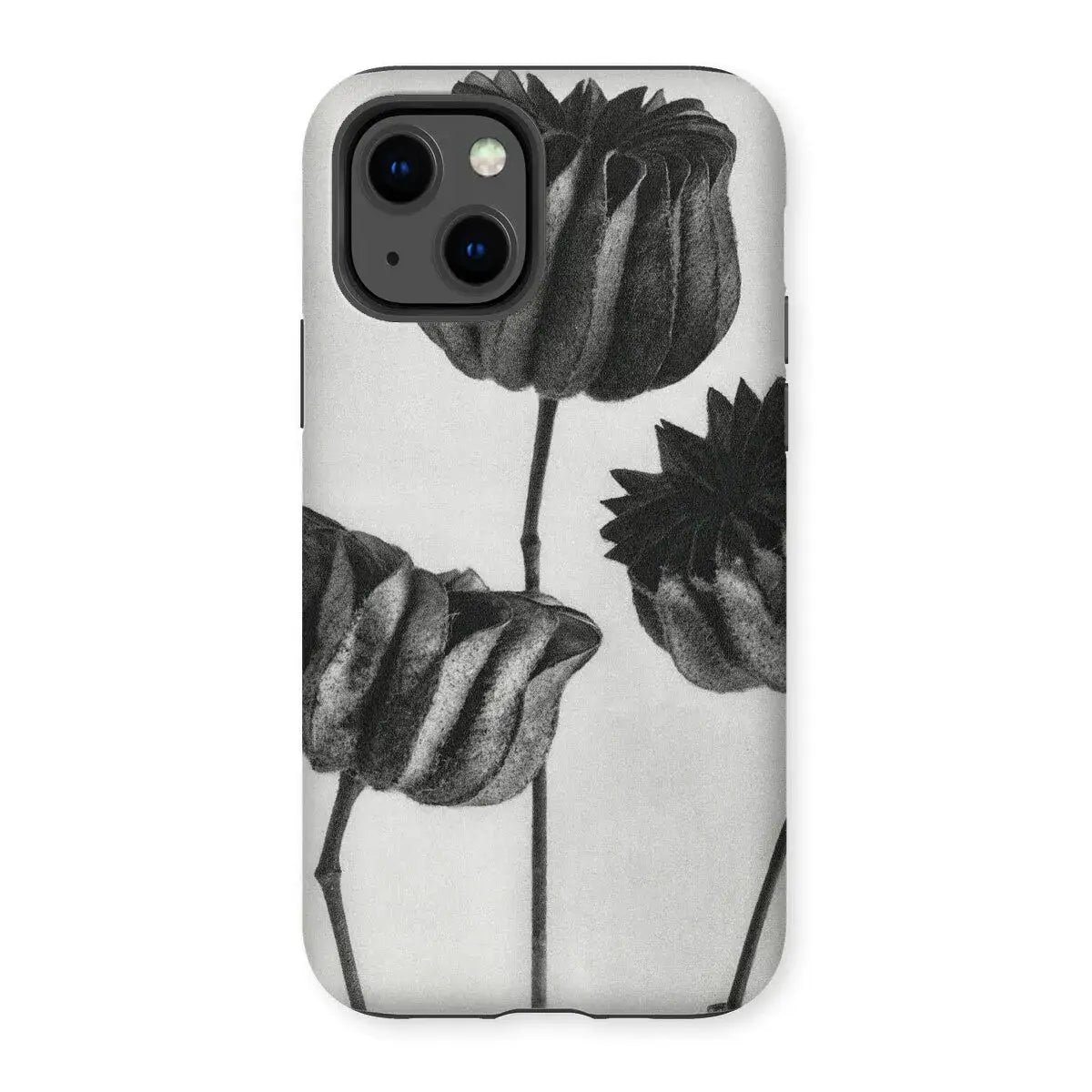 Abutilon (lime Mallow) Pod - Karl Blossfeldt Art Iphone Case 13 / Matte Mobile Phone Cases