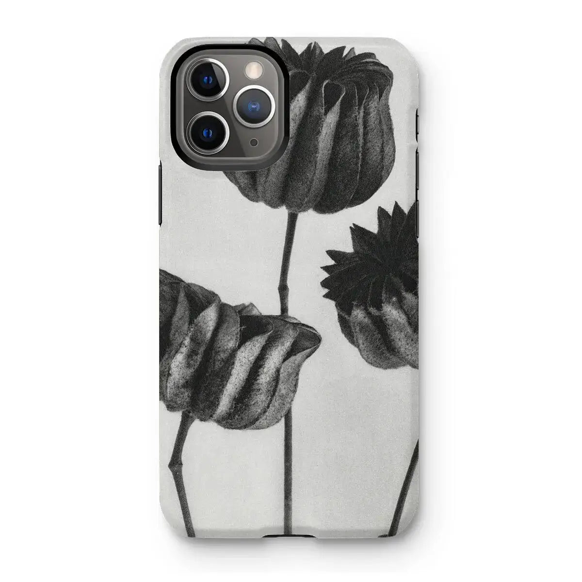 Abutilon (lime Mallow) Pod - Karl Blossfeldt Art Iphone Case 11 Pro / Matte Mobile Phone Cases