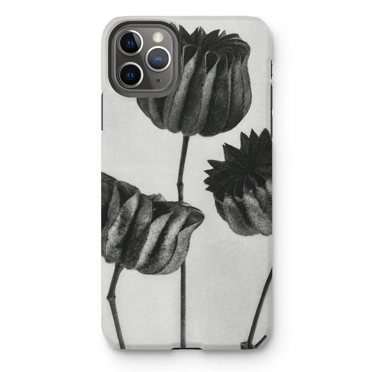 Abutilon (lime Mallow) Pod - Karl Blossfeldt Art Iphone Case Mobile Phone Cases