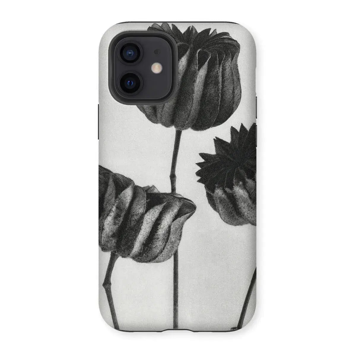 Abutilon (lime Mallow) Pod - Karl Blossfeldt Art Iphone Case 12 / Matte Mobile Phone Cases