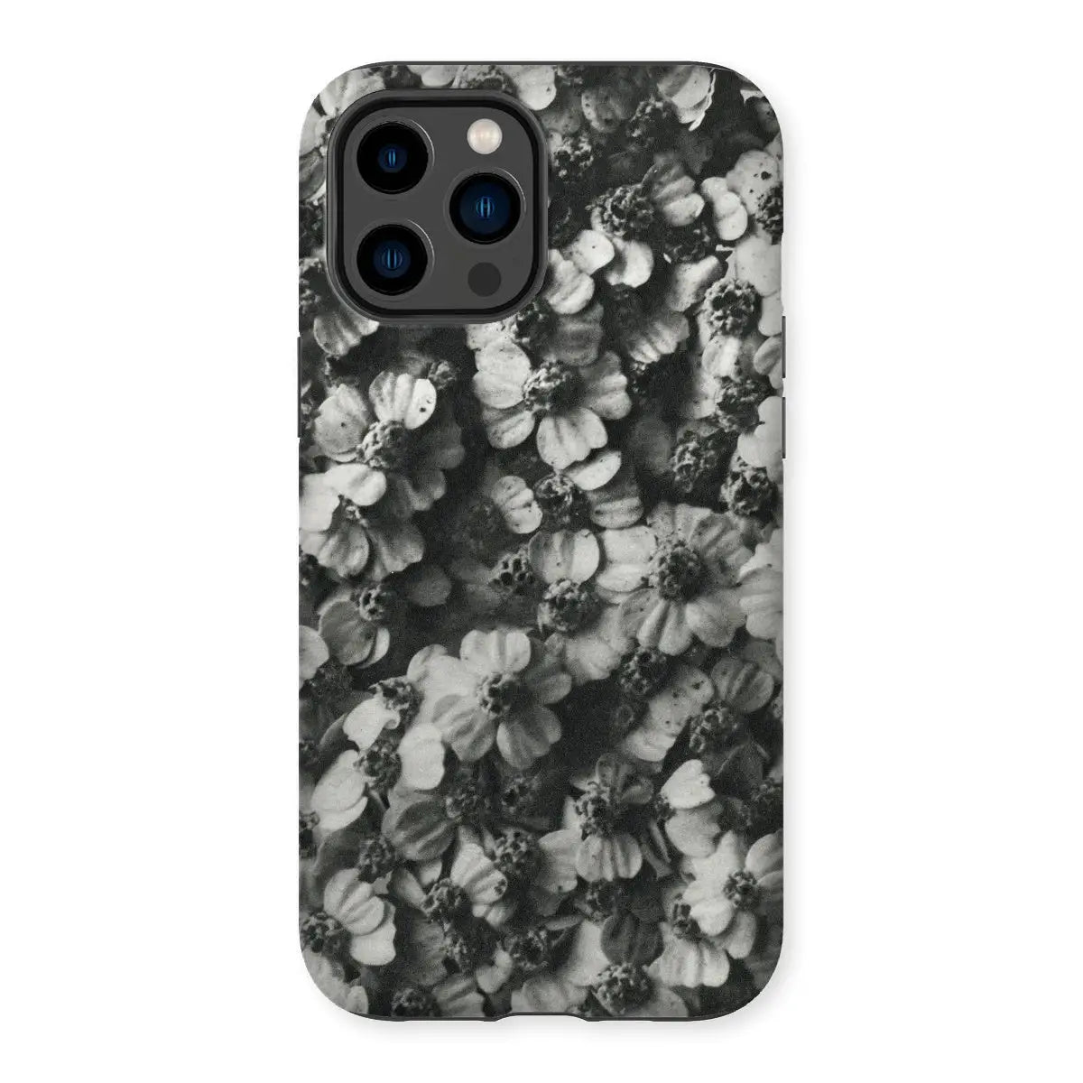 Achillea Millefolium (common Yarrow) - Karl Blossfeldt Tough Iphone Case 14 Pro Max / Matte Mobile Phone Cases