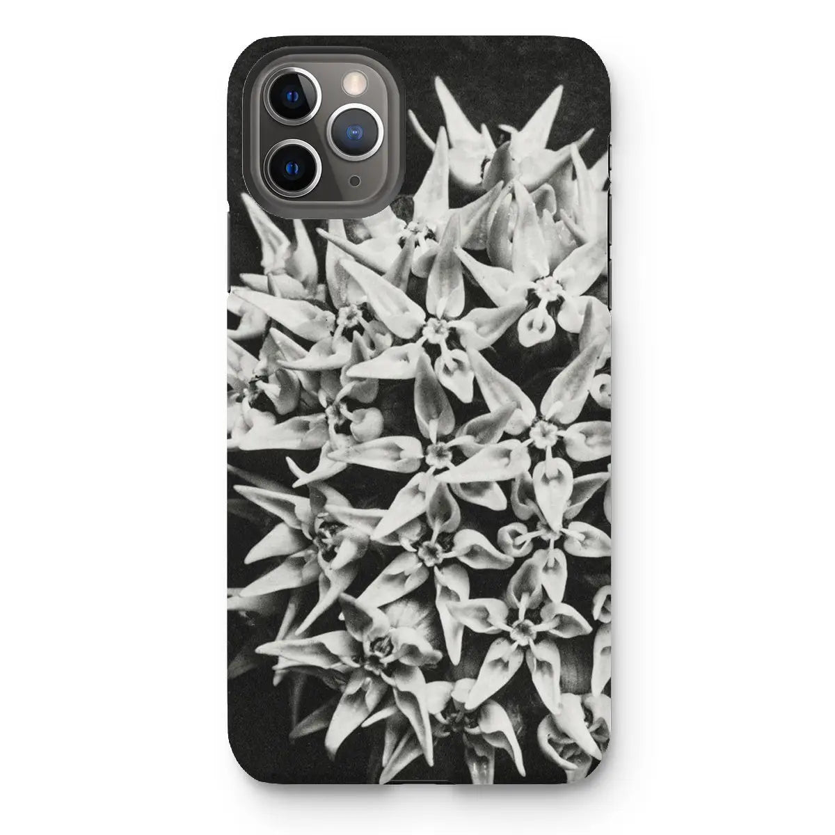 Asclepias Speciosa - Karl Blossfeldt Photo Art Iphone Case 11 Pro Max / Matte Mobile Phone Cases