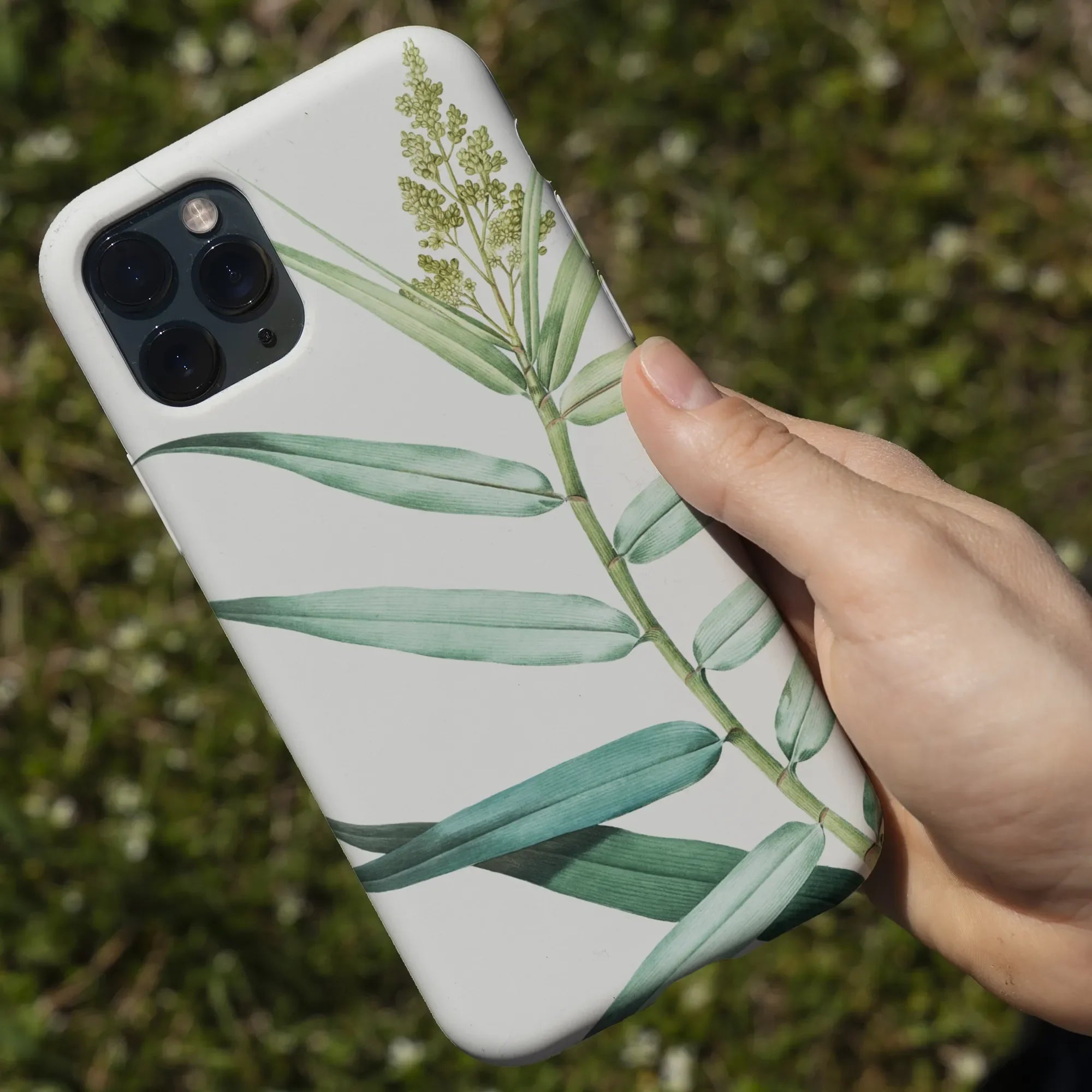 Bush Cane - P.j. Redouté Botanist Art Iphone Case Mobile Phone Cases