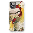 Bird of Paradise - Benjamin Fawcett Iphone Case 11 Pro Max / Matte Mobile Phone Cases