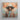Framed Portrait Person Off-white Wide-brimmed Hat Patterned Jacket Elegant Malaysian Outlaw’s, Cowboy Spirit’s Queer, Asian Dandy