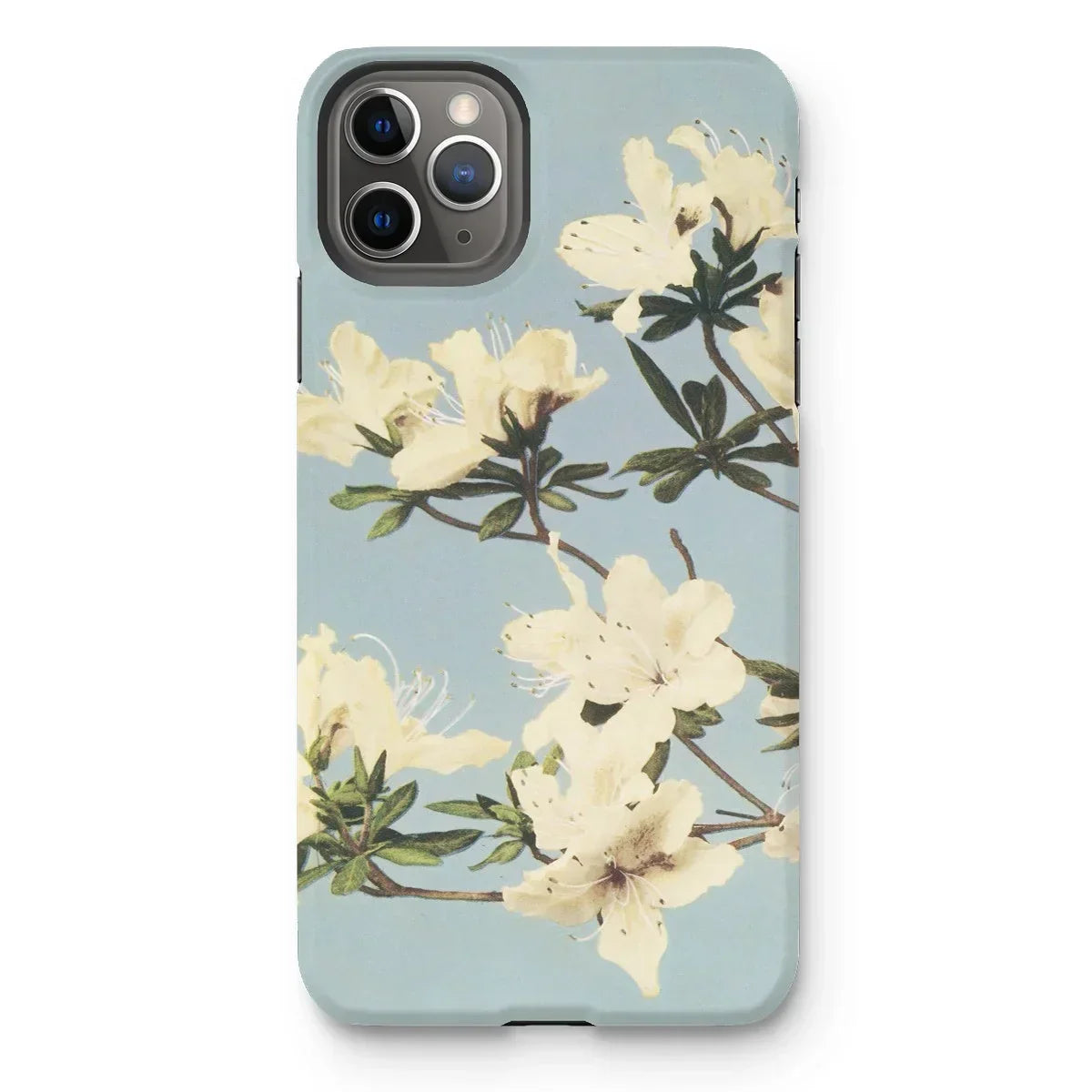 Japanese Azaleas - Kazumasa Ogawa Iphone Case, 11 Pro Max / Matte, Iphone Case Floral Design White Blossoms Light Blue