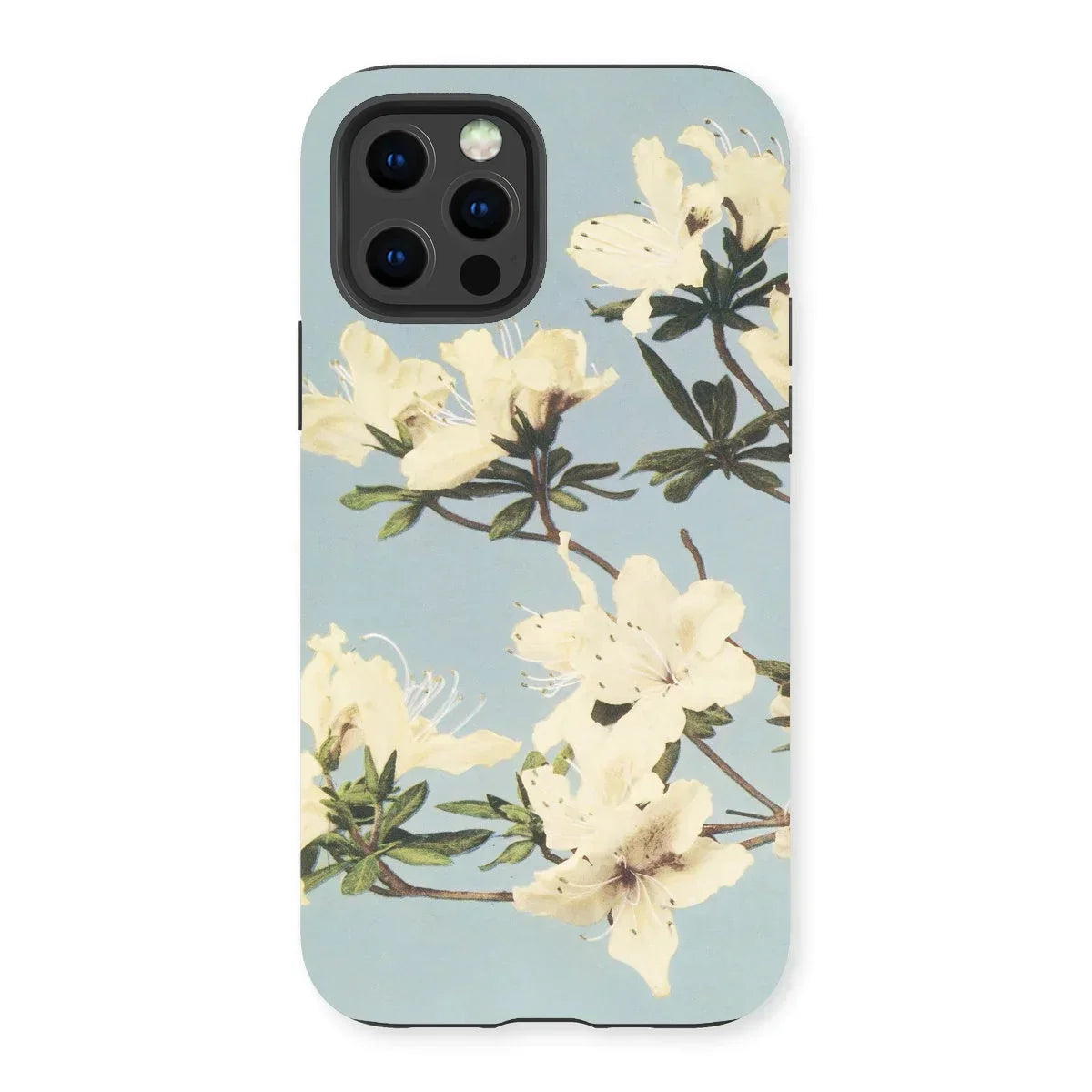 Japanese Azaleas - Kazumasa Ogawa Iphone Case, 13 Pro / Matte, Floral-patterned Smartphone Case Camera Cutout