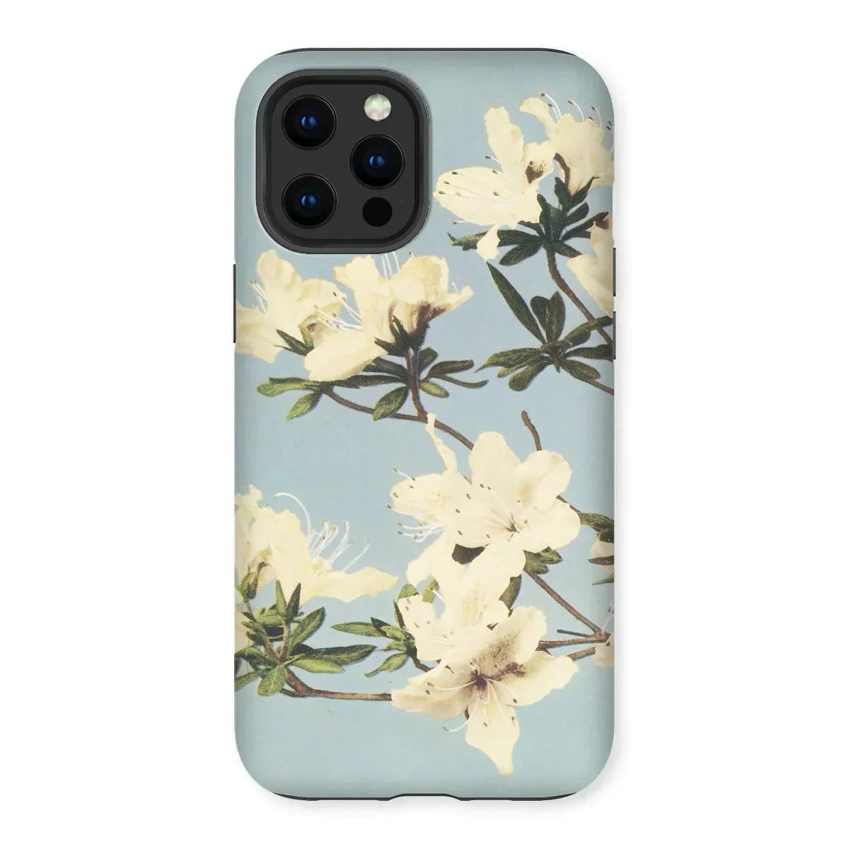 Japanese Azaleas - Kazumasa Ogawa Iphone Case, 13 Pro Max / Matte, Floral-patterned Smartphone Case White Blossoms Light Blue Background