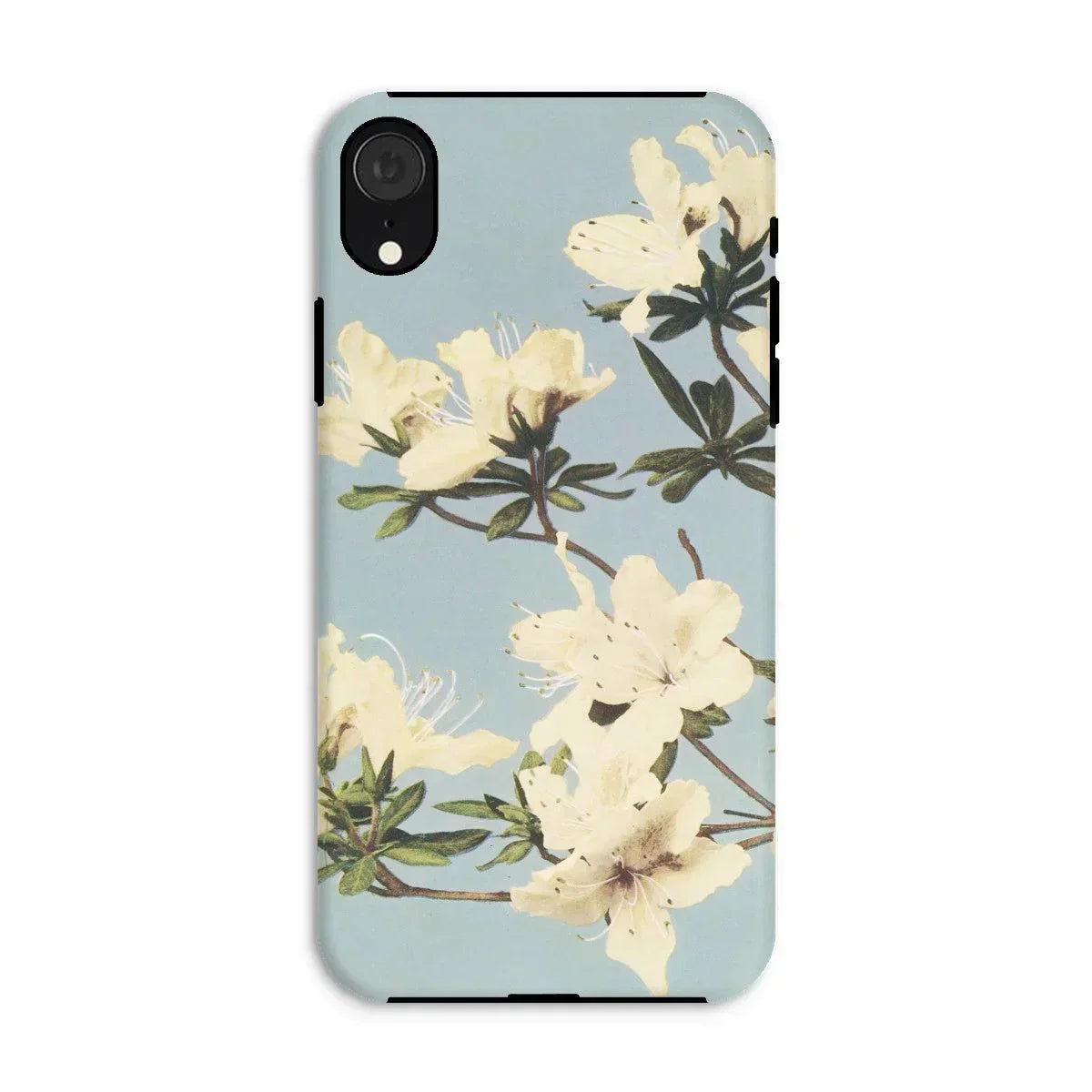 Japanese Azaleas - Kazumasa Ogawa Iphone Case, Xr / Matte, Floral-patterned Smartphone Case White Blossoms Pale Blue Background