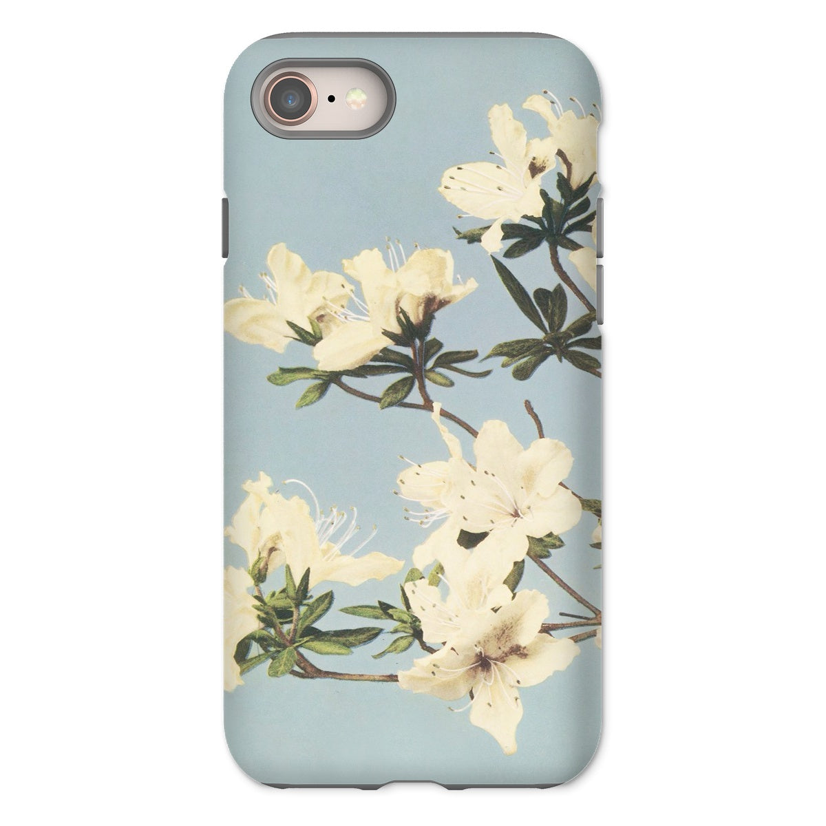 Japanese Azaleas Ogawa Kazumasa Iphone Case, 8 / Matte, Floral Patterned Phone Case White Blossoms Pale Blue Background