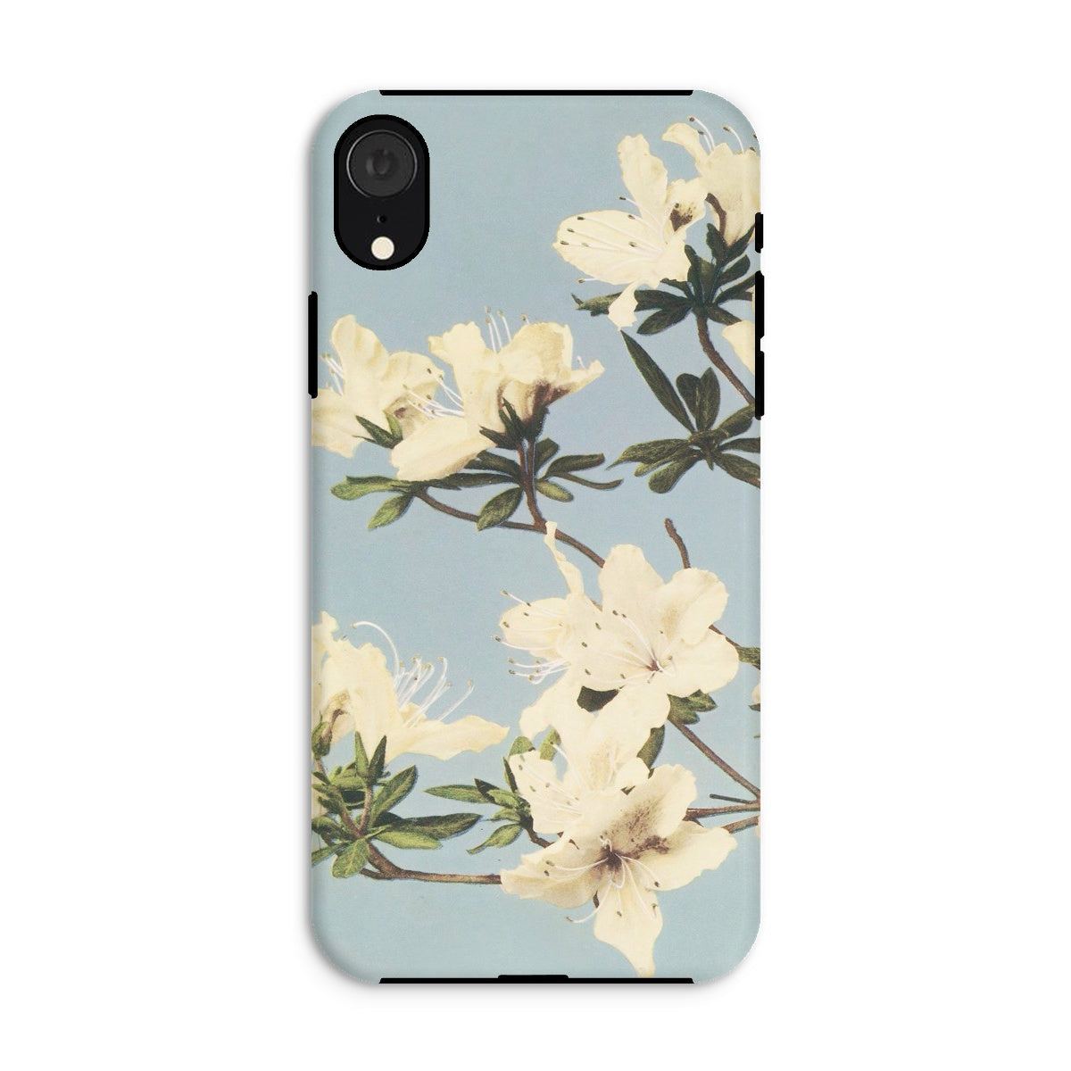 Japanese Azaleas Ogawa Kazumasa Iphone Case, Xr / Matte, Floral Patterned Smartphone Case White Blossoms Pale Blue Background