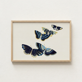 Framed Artwork Four Intricately Designed Butterflies Navy Blue Kamisaka Sekka, Japan’s Artistic Renaissance, Deftly