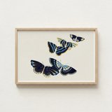 Framed Artwork Four Intricately Illustrated Butterflies Navy Blue Kamisaka Sekka, Japan’s Artistic Renaissance, Deftly
