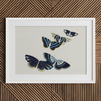 Japanese Blue Butterflies too - Kamisaka Sekka Art Print / Canvas Framed Artwork Three Intricately Detailed Butterflies Navy Blue Kamisaka