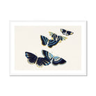 Japanese Blue Butterflies too - Kamisaka Sekka Art Print