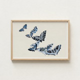Framed Artwork Collection Intricately Designed Butterflies Shades Blue Kamisaka Sekka’s Japanese, Japan’s Artistic Awakening, Sekka Meiji