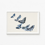 Framed Artwork Collection Intricately Designed Butterflies Shades Blue Kamisaka Sekka’s Japanese, Japan’s Artistic Awakening, Sekka Meiji