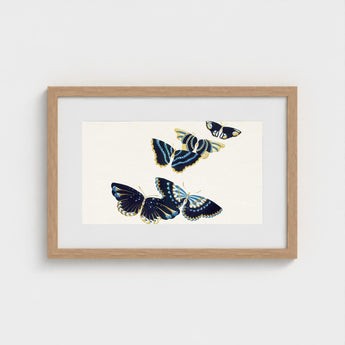 Japanese Blue Butterflies too - Kamisaka Sekka Art Print / Canvas Framed Artwork Four Intricately Illustrated Navy, Japan’s Artistic