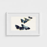 Japanese Blue Butterflies too - Kamisaka Sekka Art Print / Canvas Framed Artwork Four Intricately Detailed Navy, Japan’s Artistic