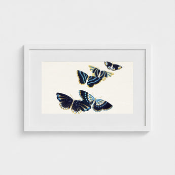 Japanese Blue Butterflies too - Kamisaka Sekka Art Print / Canvas Framed Artwork Four Intricately Detailed Navy, Japan’s Artistic