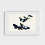 Japanese Blue Butterflies too - Kamisaka Sekka Art Print / Canvas Elegant Framed Artwork Intricately Illustrated Deep Navy, Japan’s