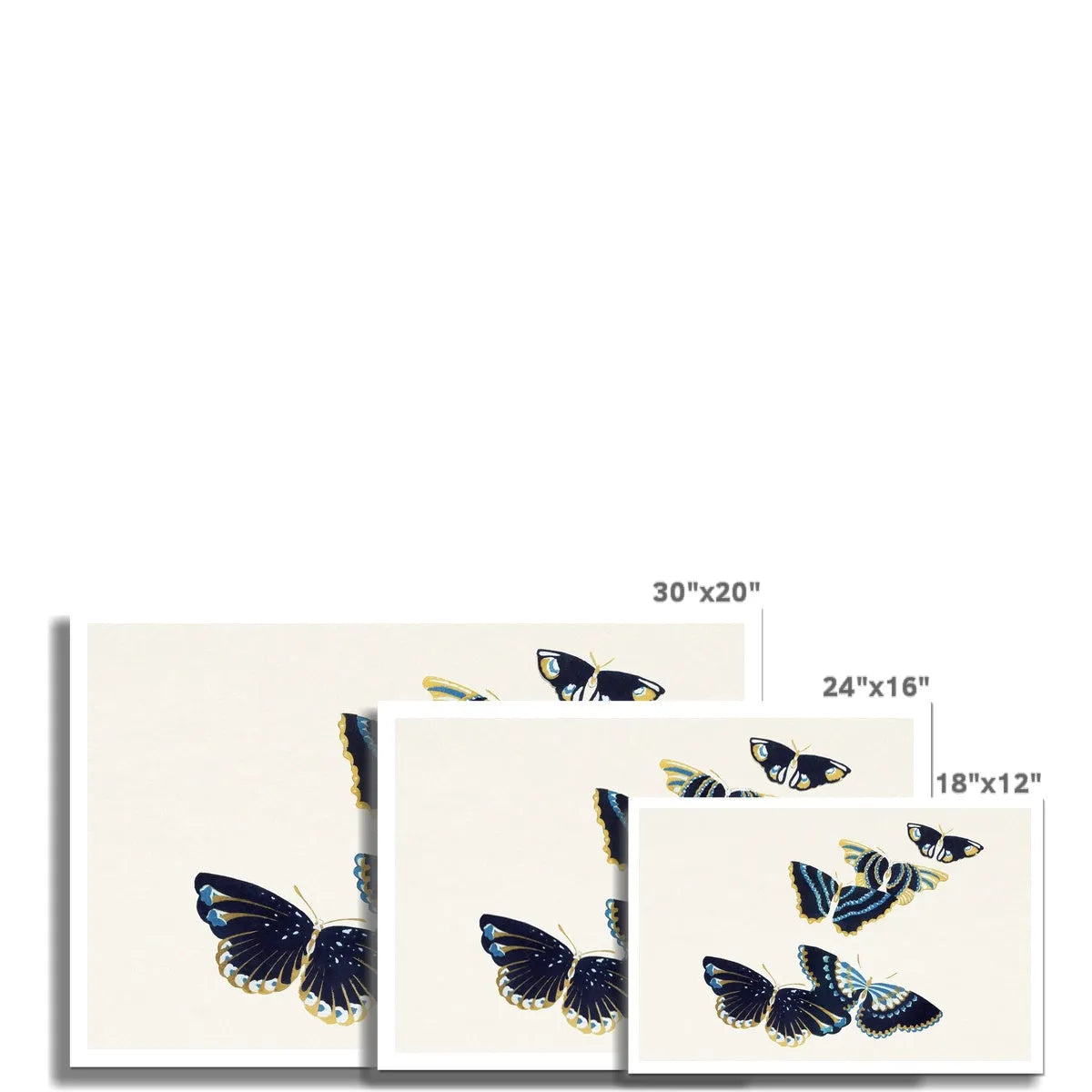 Japanese Butterflies In Blue Too By Kamisaka Sekka Fine Art Print - Posters Prints & Visual Artwork - Aesthetic Art