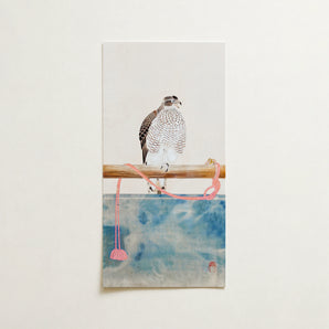 Watercolor Painting Speckled Hawk Perched Wooden Branch Pink Tosa Mitsuoki, Exquisite Woodblock Print, 19th-century Japanese Artistry
