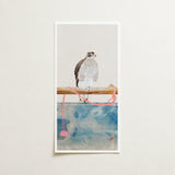 Watercolor Painting Speckled Hawk Perched Wooden Beam Pink Tosa Mitsuoki, Exquisite Woodblock Print, 19th-century Japanese Artistry