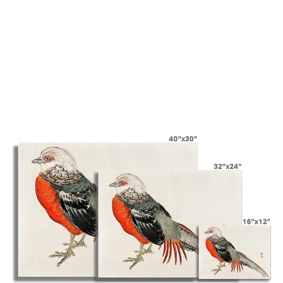 Japanese Pheasant By Kōno Bairei Fine Art Print - Posters Prints & Visual Artwork - Aesthetic Art