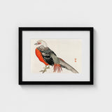 Japanese Pheasant - Kono Bairei Kacho-e Bird Art Print / Canvas Kōno Bairei’s Majestic, Meiji-era Kacho-ga Artistry, Prints