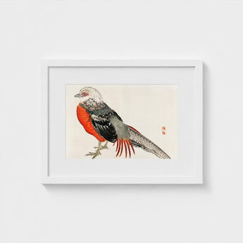 Japanese Pheasant - Kono Bairei Kacho-e Bird Art Print / Canvas Kōno Bairei’s Majestic, Meiji-era Kacho-ga Artistry, Prints