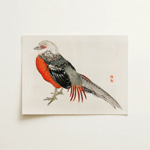 Japanese Pheasant - Kōno Bairei Kacho-e Bird Art Print / Canvas, 16x12’’ / 41x31cm / Unframed / no Border, Posters Prints & Visual
