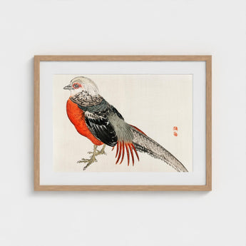 Japanese Pheasant - Kono Bairei Kacho-e Bird Art Print / Canvas Kōno Bairei’s Majestic, Meiji-era Kacho-ga Artistry, Prints