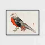 Japanese Pheasant - Kono Bairei Kacho-e Bird Art Print / Canvas Kōno Bairei’s Majestic, Meiji-era Kacho-ga Artistry, Prints