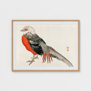 Japanese Pheasant - Kono Bairei Kacho-e Bird Art Print / Canvas Kōno Bairei’s Majestic, Meiji-era Kacho-ga Artistry, Prints