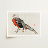 Japanese Pheasant - Kono Bairei Kacho-e Bird Art Print / Canvas Kōno Bairei’s Majestic, Meiji-era Kacho-ga Artistry, Prints