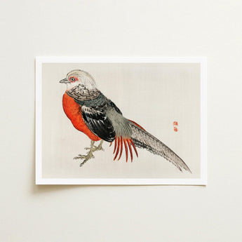 Japanese Pheasant - Kono Bairei Kacho-e Bird Art Print / Canvas Kōno Bairei’s Majestic, Meiji-era Kacho-ga Artistry, Prints