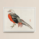 Japanese Pheasant - Kono Bairei Kacho-e Bird Art Print / Canvas Framed Artwork Vibrant Red Gray Pheasant Intricate Black Kōno Bairei’s