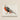 Framed Artwork Vibrant Red Gray Pheasant Intricate Black Kōno Bairei’s Majestic Japanese, Meiji-era Kacho-ga Artistry, Bird Art Print
