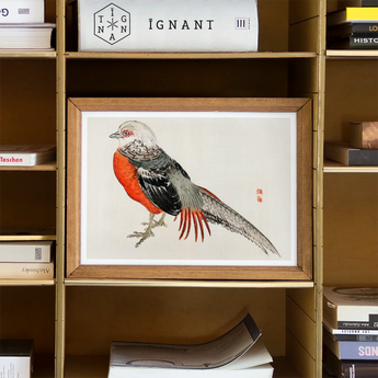 Japanese Pheasant - Kono Bairei Kacho-e Bird Art Print / Canvas Framed Watercolor Painting Gray Orange Pheasant Kōno Bairei’s Majestic